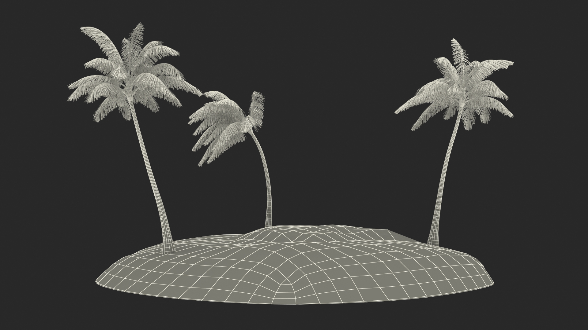 3D Tropical Island with Palms