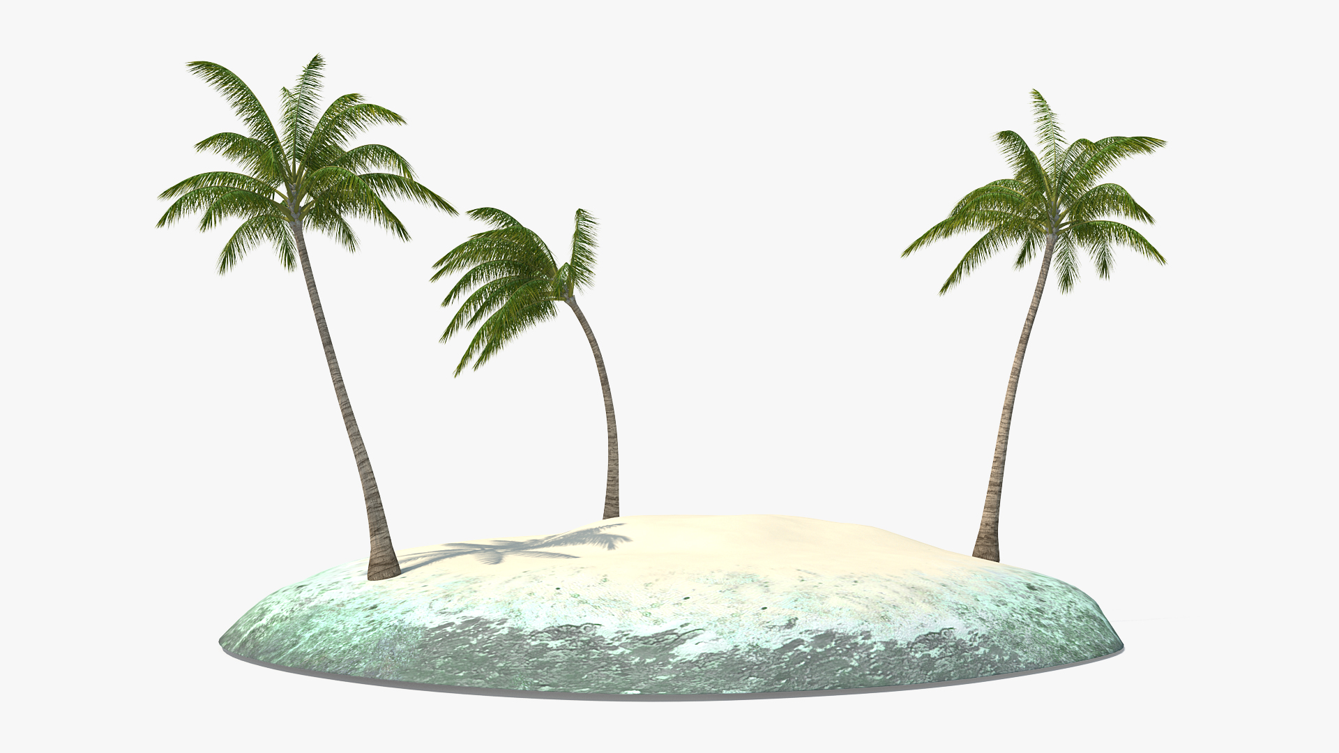 3D Tropical Island with Palms