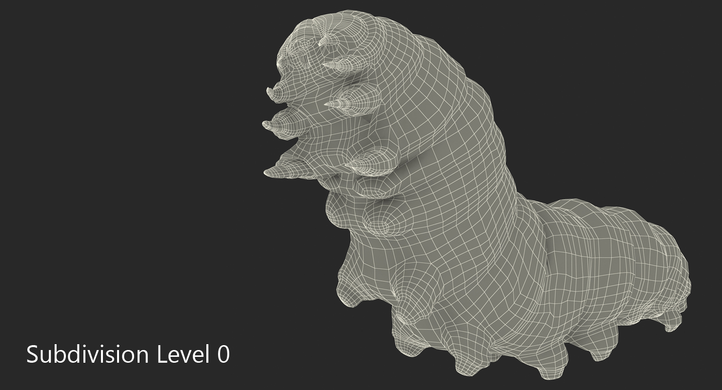 Caterpillar Rigged with Fur 3D