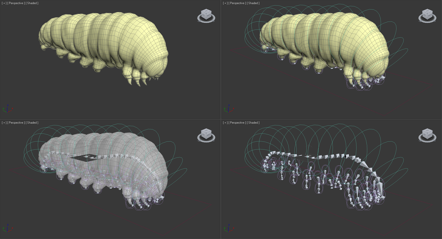 Caterpillar Rigged with Fur 3D