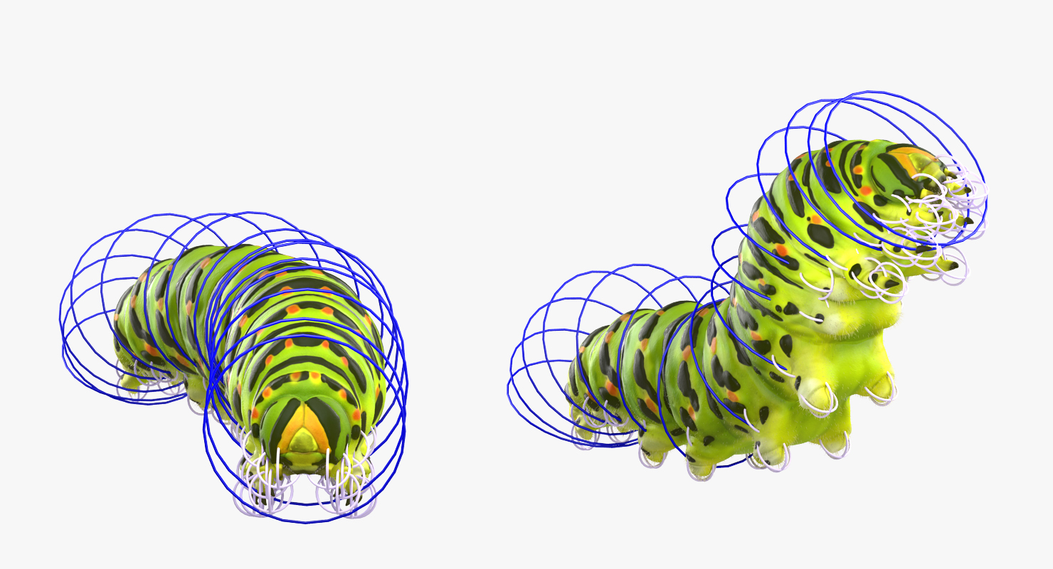 Caterpillar Rigged with Fur 3D