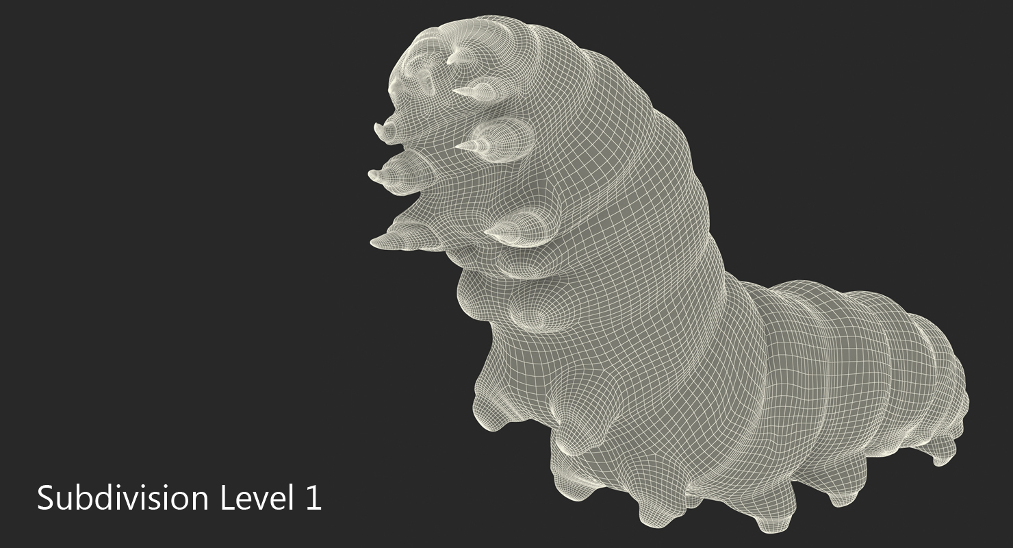 Caterpillar Rigged with Fur 3D