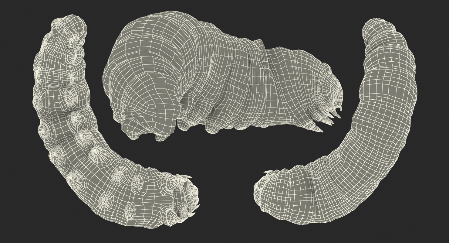 Caterpillar Rigged with Fur 3D