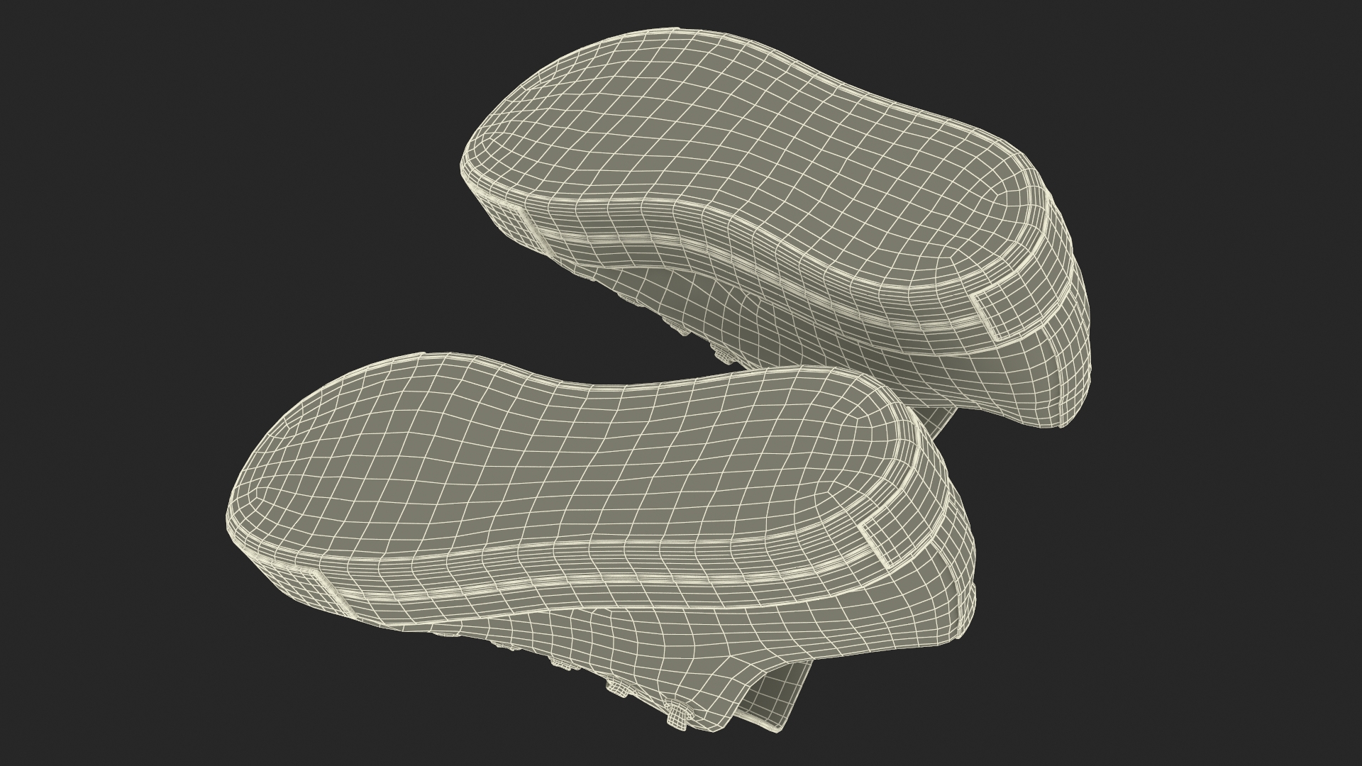 Casual Canvas Sneakers 3D