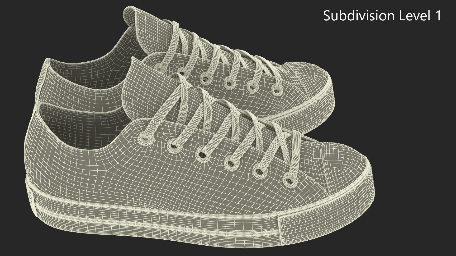 Casual Canvas Sneakers 3D