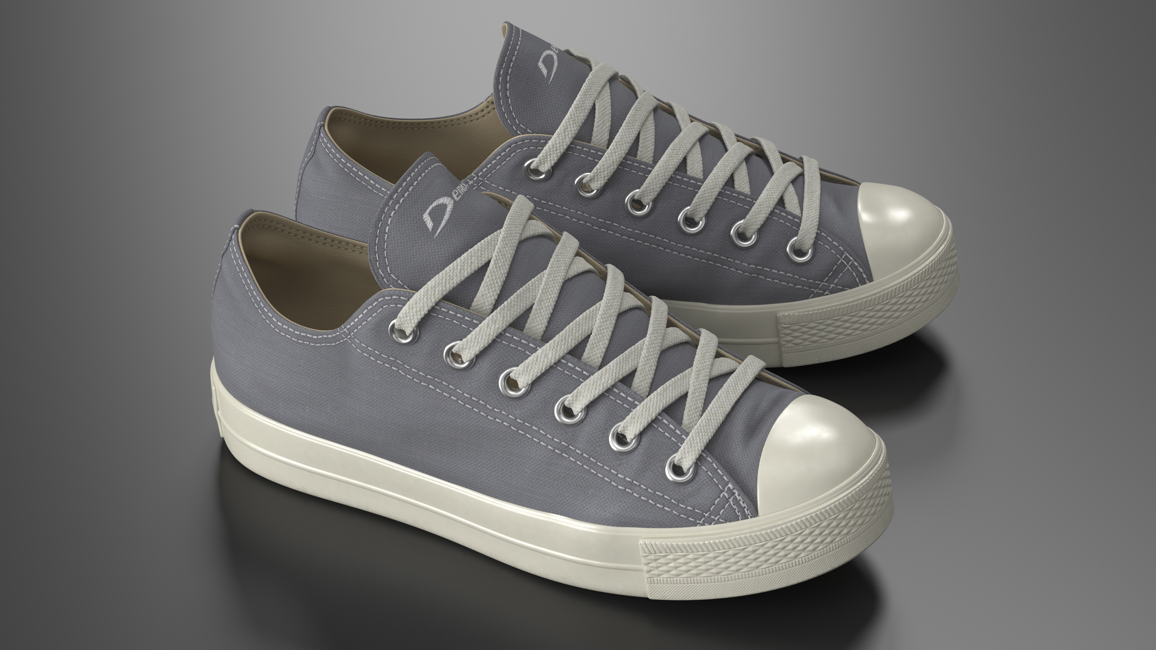 Casual Canvas Sneakers 3D