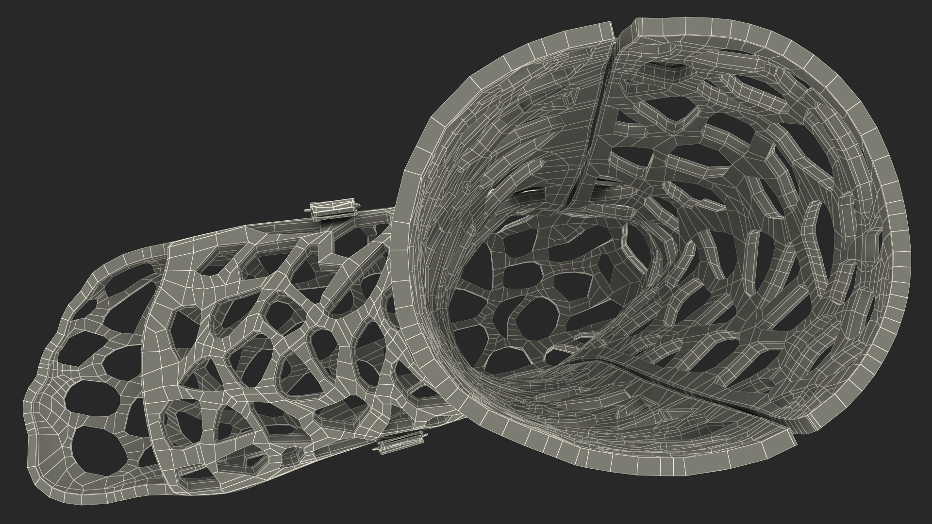 3D model 3D-Printed Orthopedic Cast Leg Blue