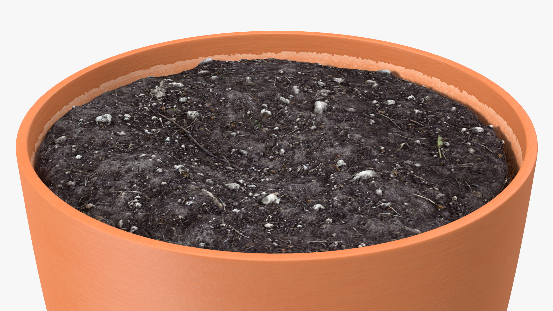 3D Pot with Soil model