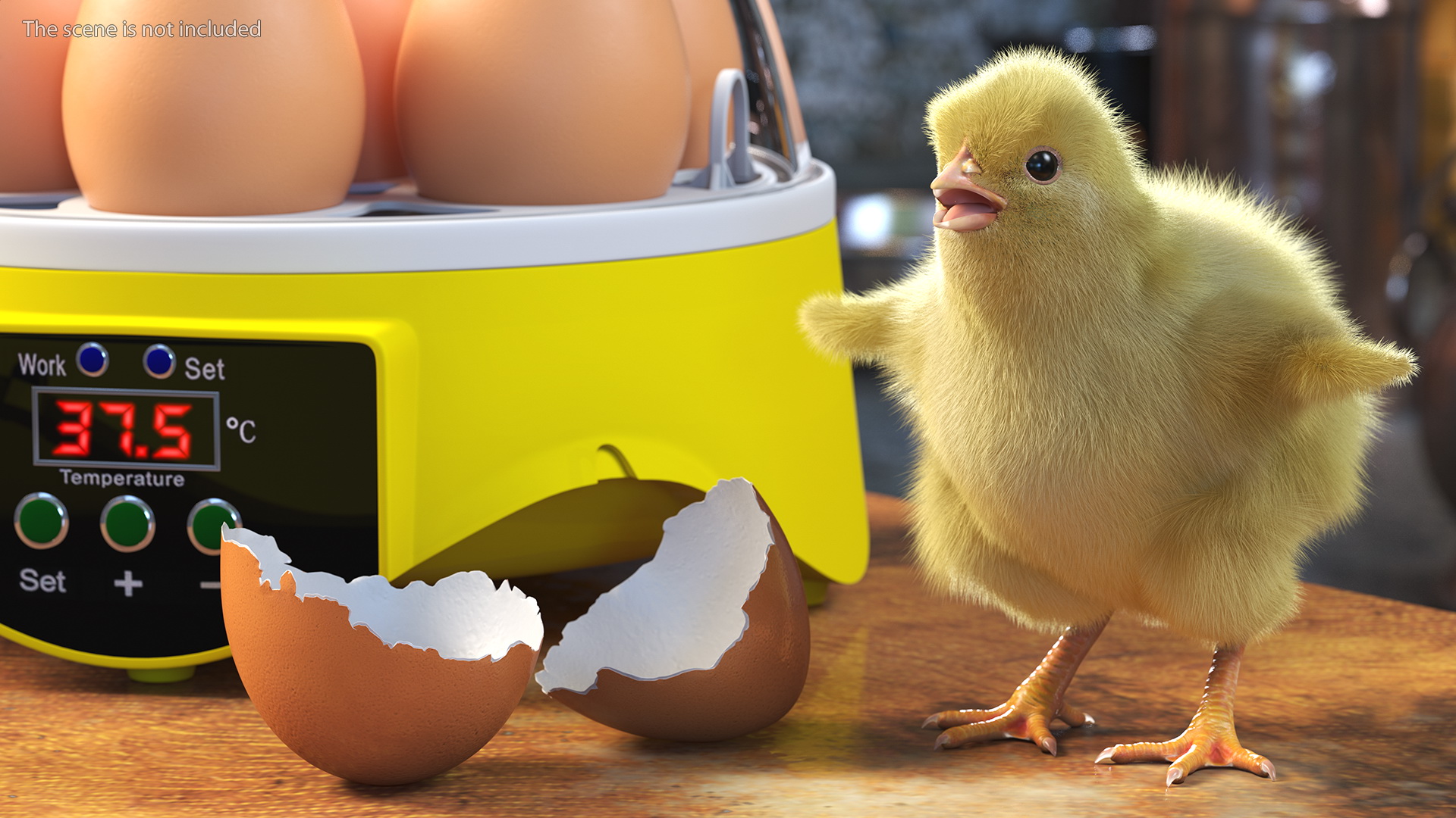 3D Egg Incubator With Chick Fur model