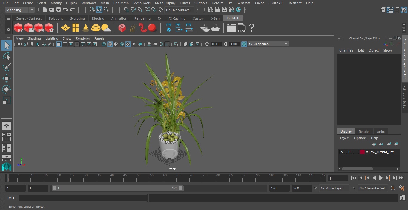 Yellow Orchid Pot 3D