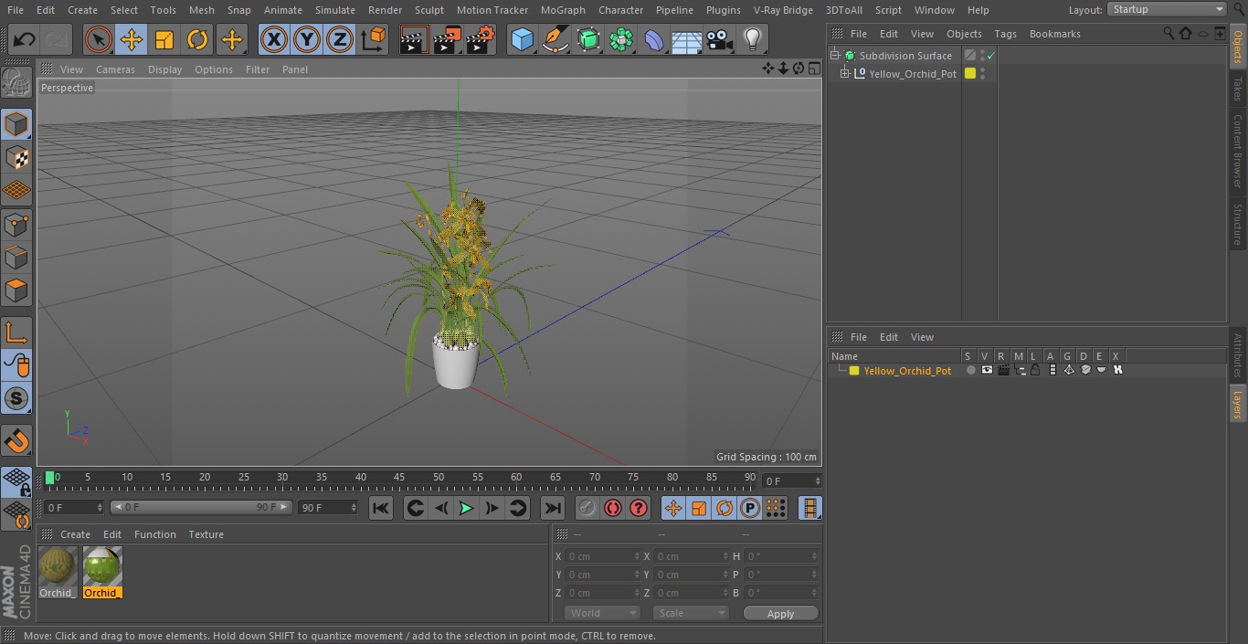 Yellow Orchid Pot 3D