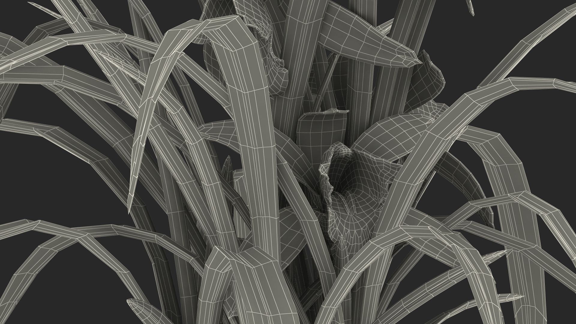 Yellow Orchid Pot 3D