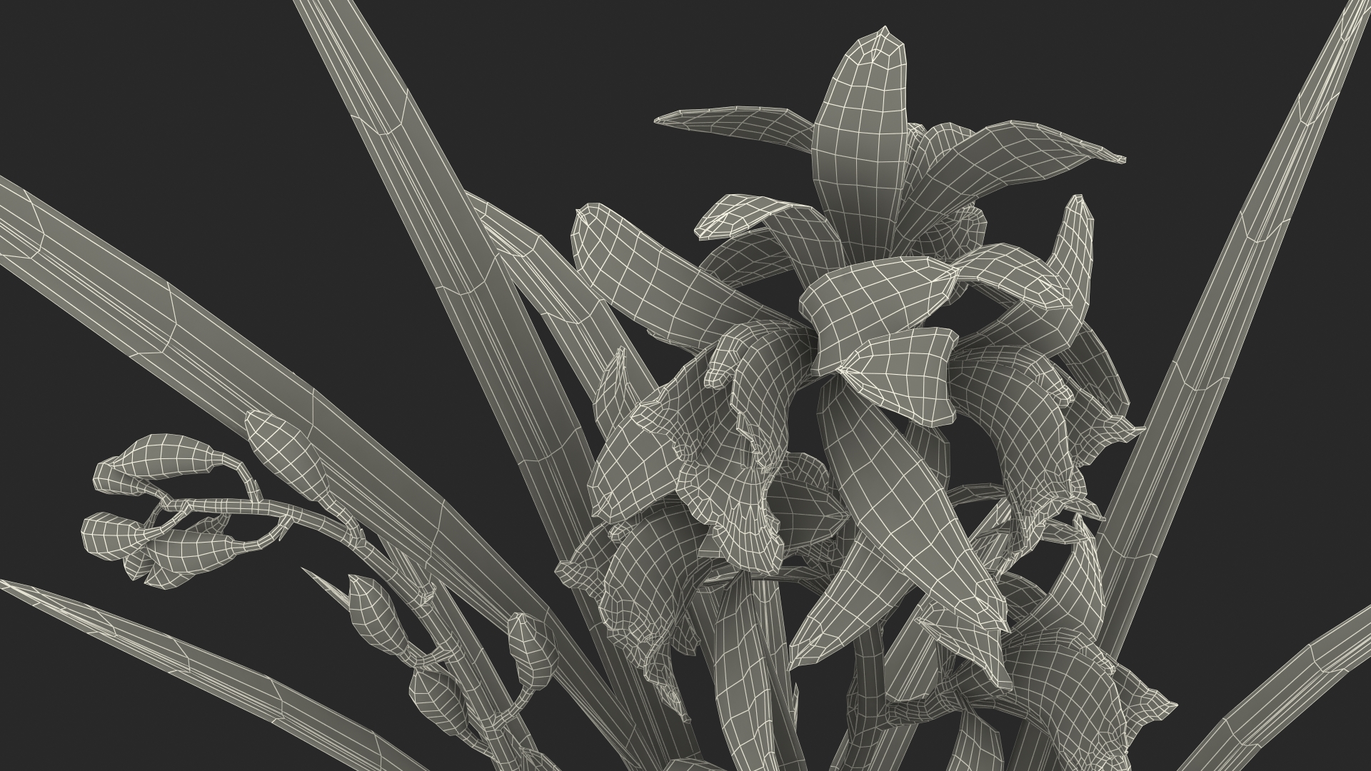 Yellow Orchid Pot 3D