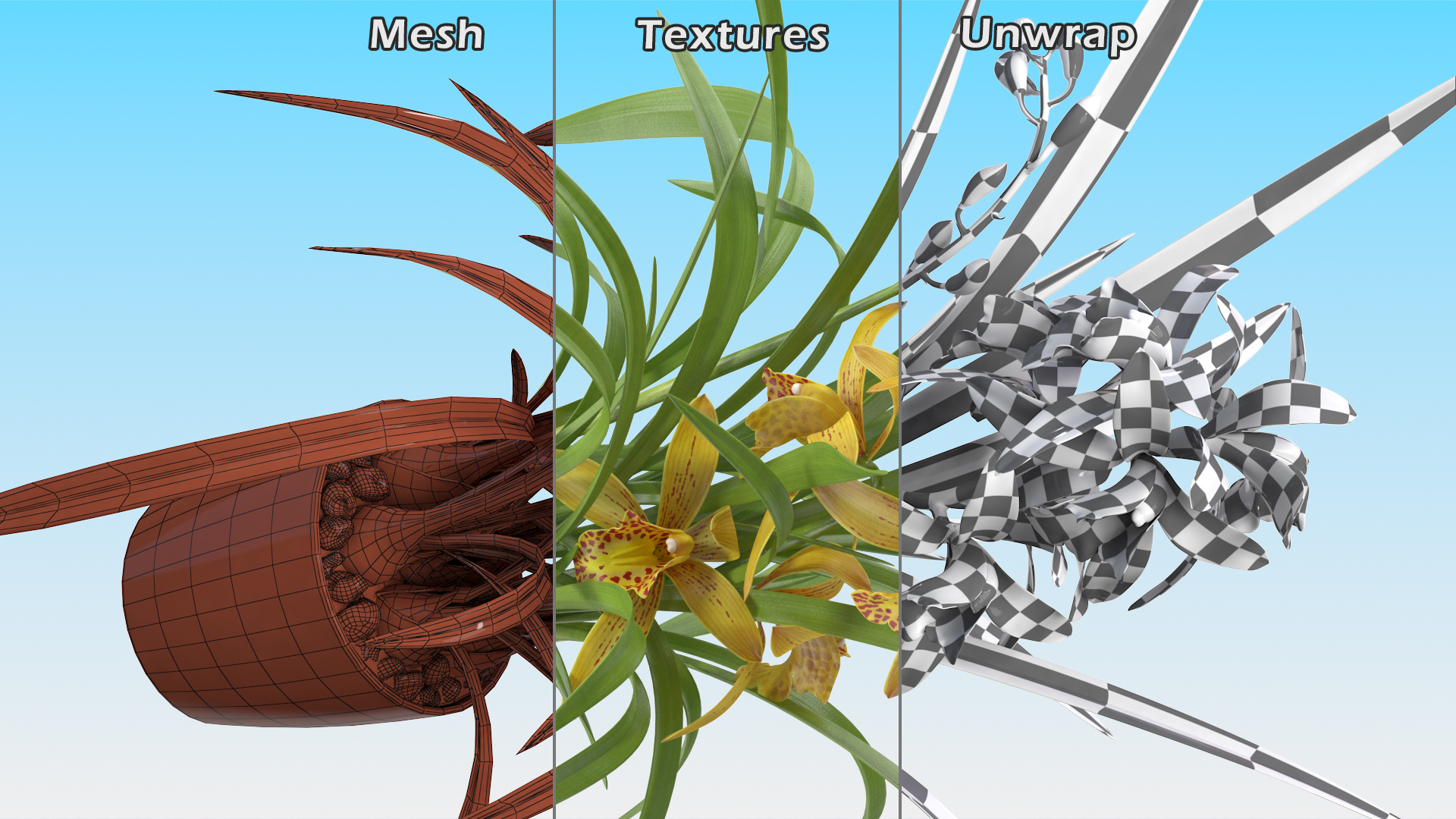 Yellow Orchid Pot 3D