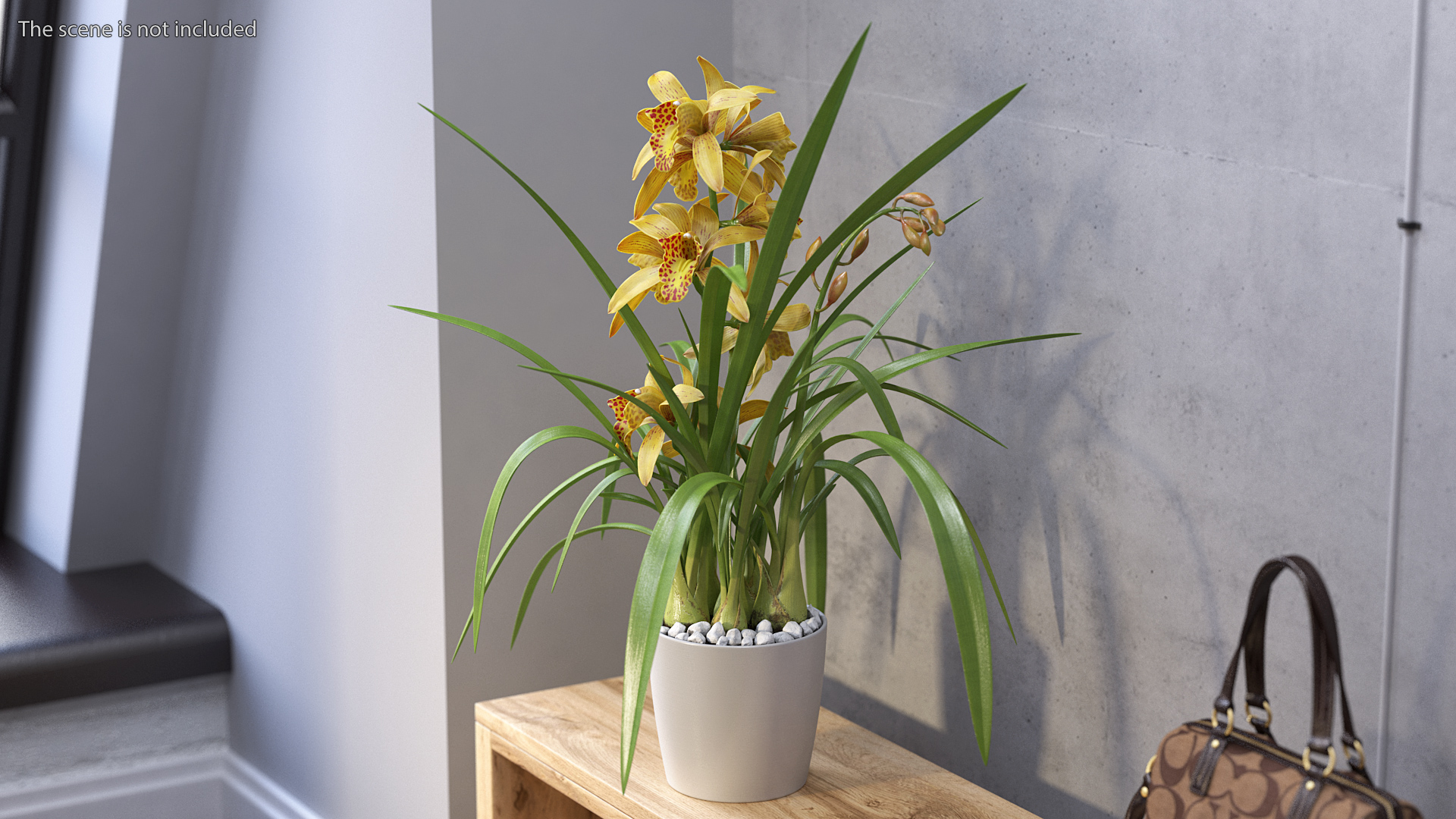 Yellow Orchid Pot 3D