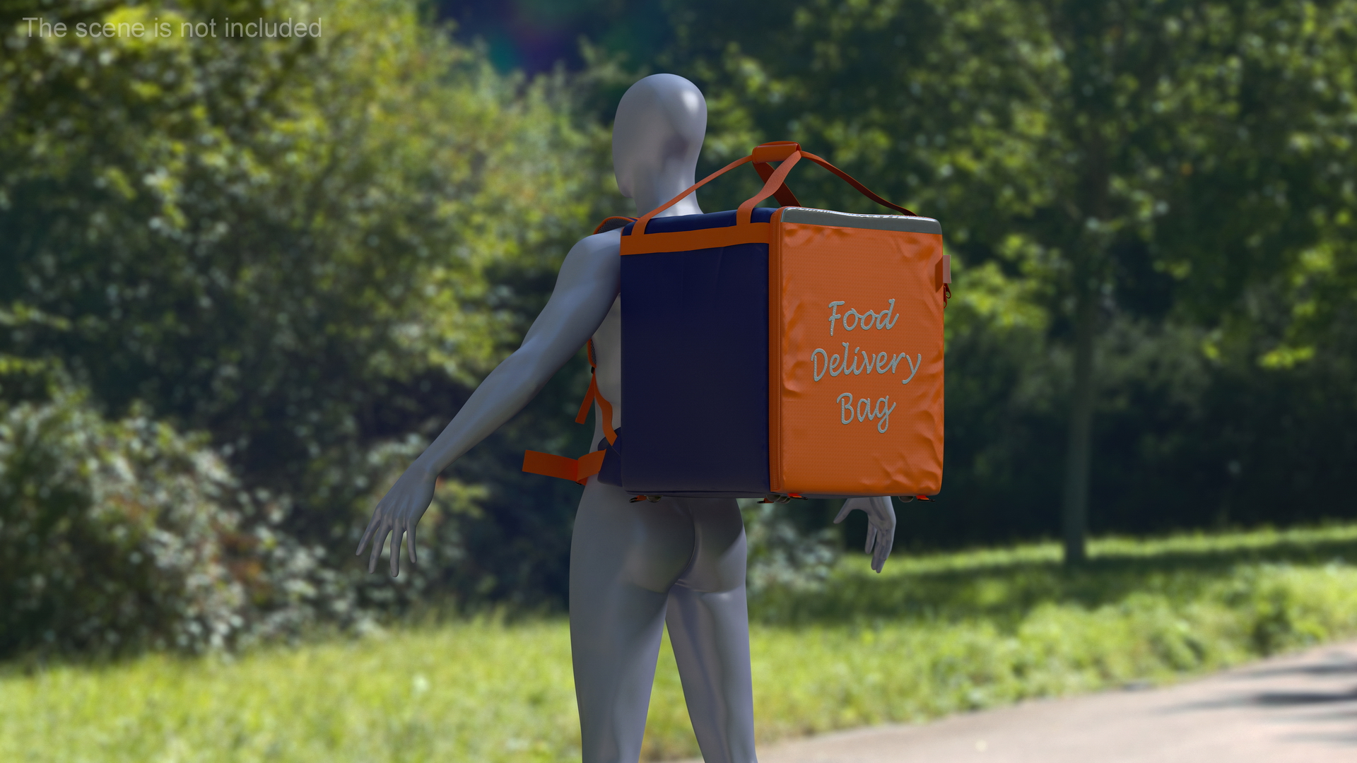 Food Delivery Bag Closed Multicolored 3D
