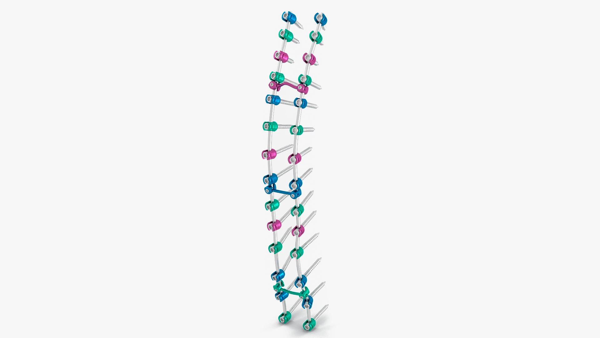 3D Thoracic Spine Fixation System Colored model
