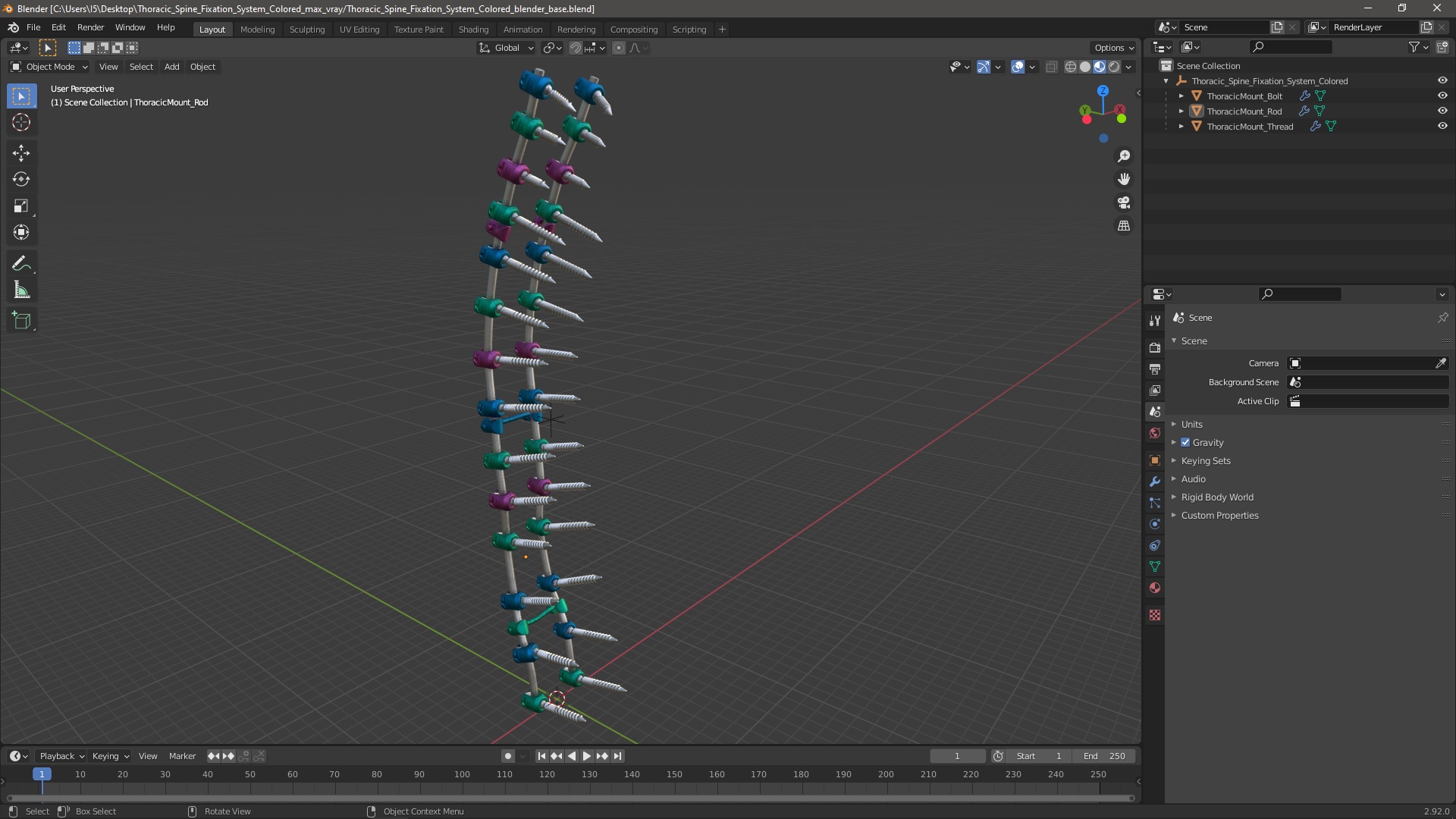 3D Thoracic Spine Fixation System Colored model