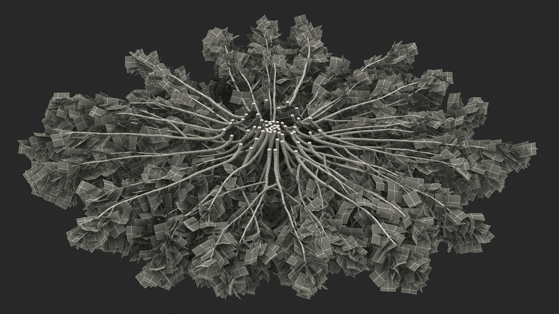 Juniperus Sabina Green 3D