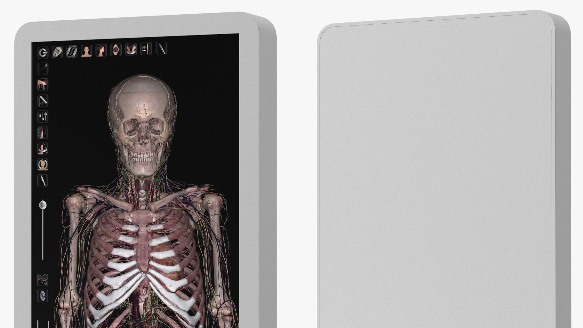 Vertical Interactive Table Display Human Device 3D