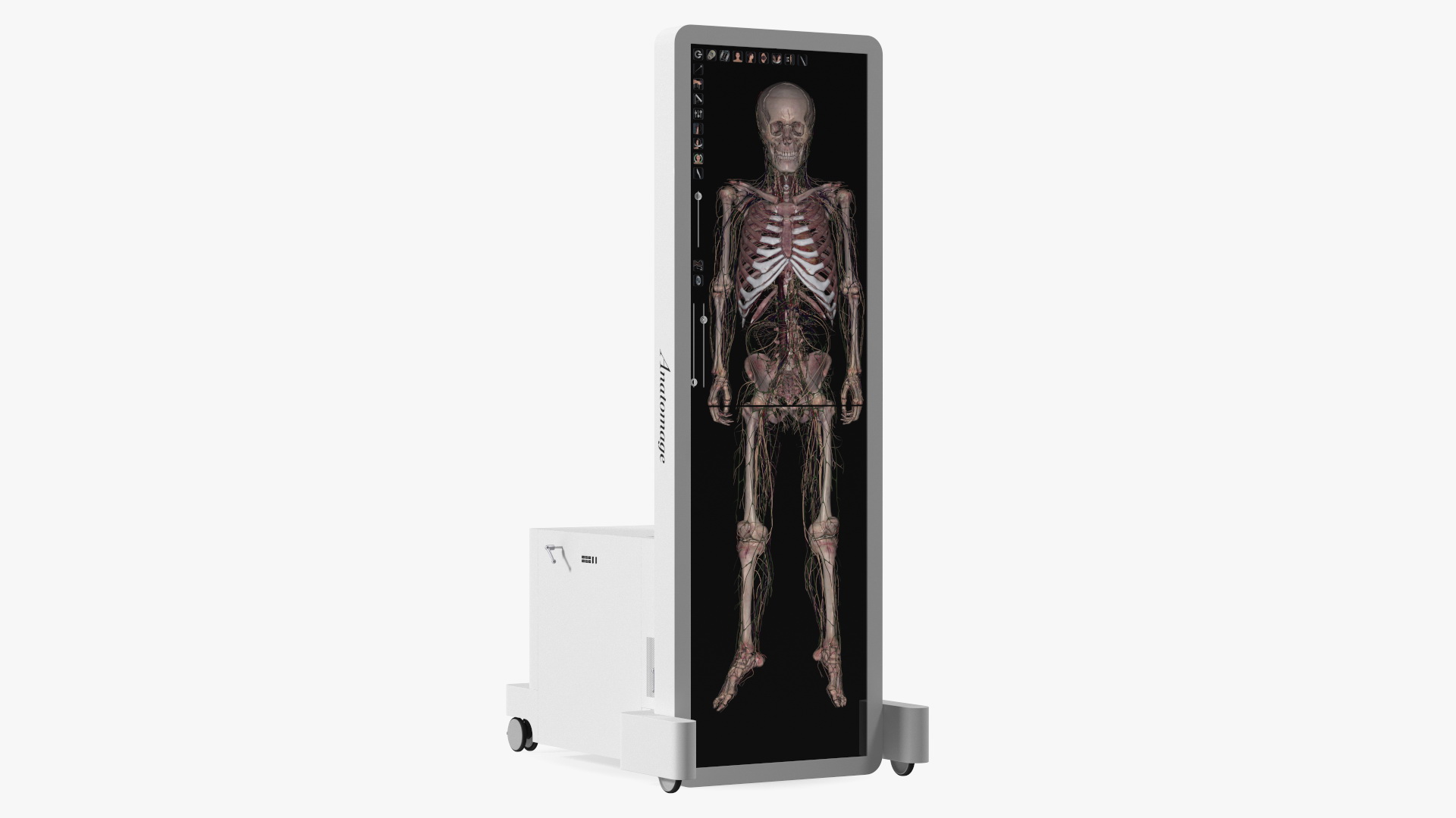 Vertical Interactive Table Display Human Device 3D