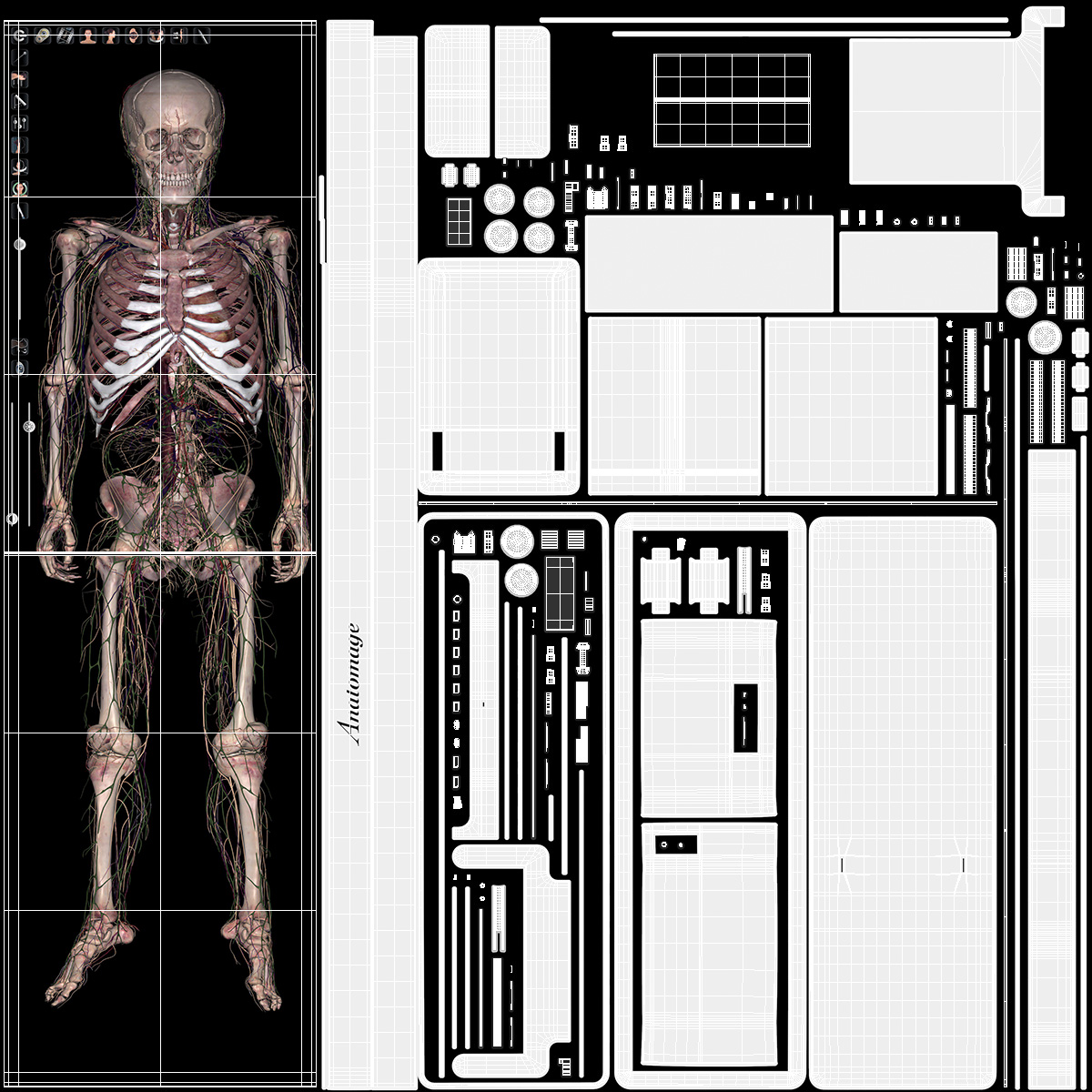 Vertical Interactive Table Display Human Device 3D