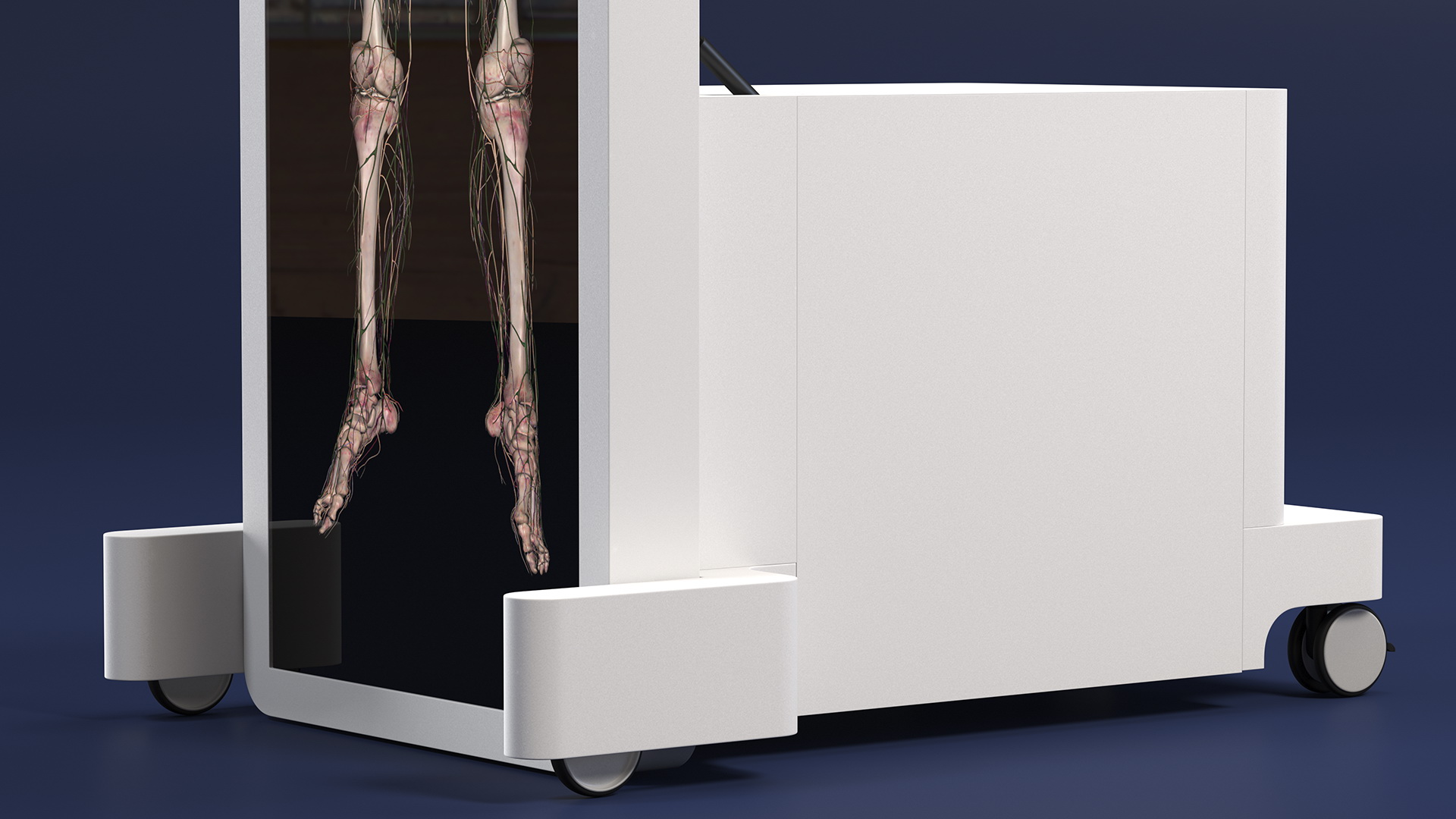 Vertical Interactive Table Display Human Device 3D