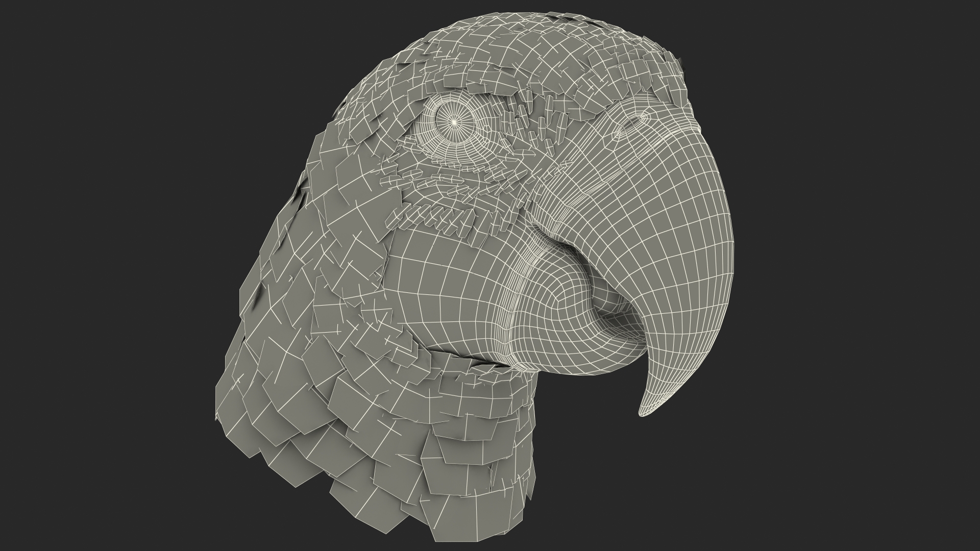 3D Blue and Yellow Macaw Parrot Head model