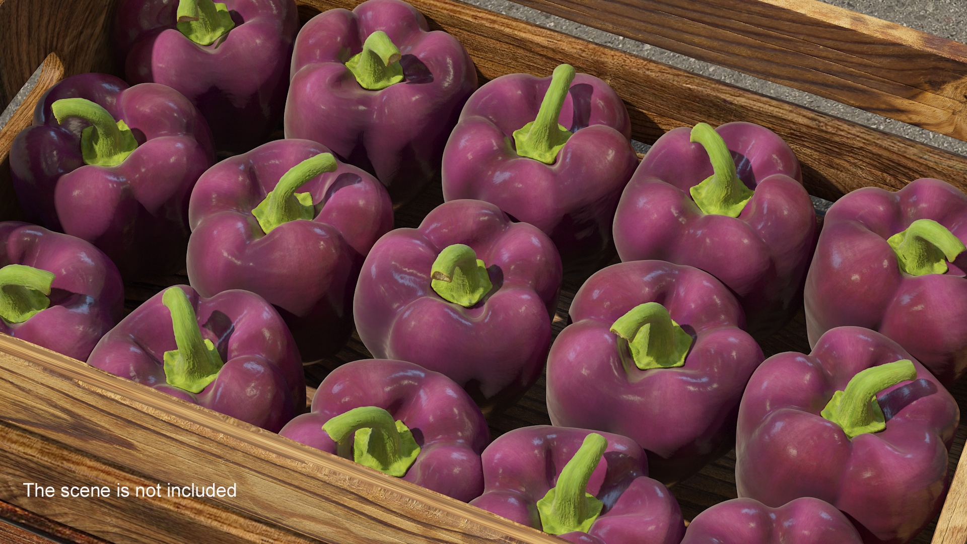3D model Bell Pepper Purple Beauty