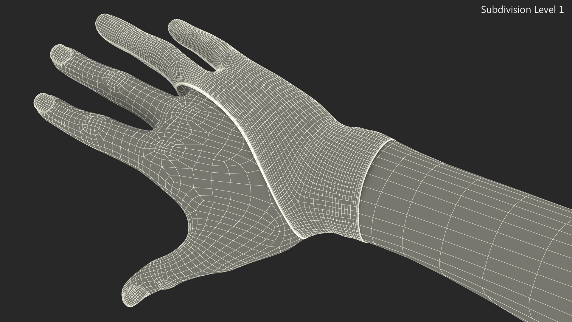 3D Grey Drawing Glove on Hand