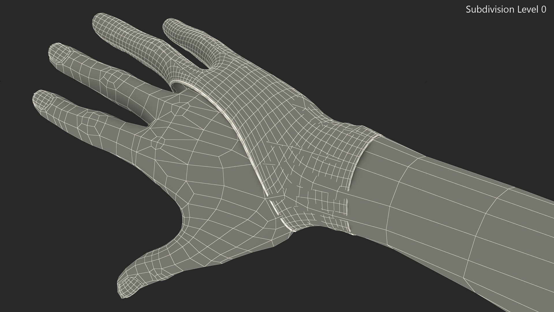 3D Grey Drawing Glove on Hand