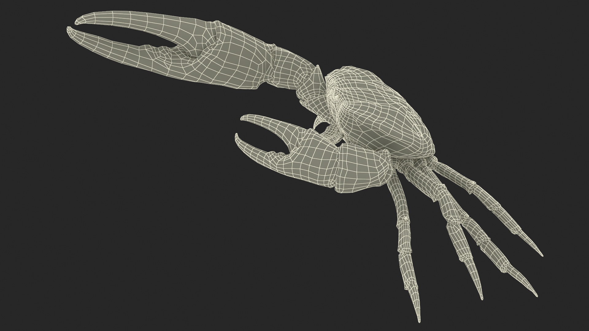 3D Deepwater Giant Crab Rigged for Maya
