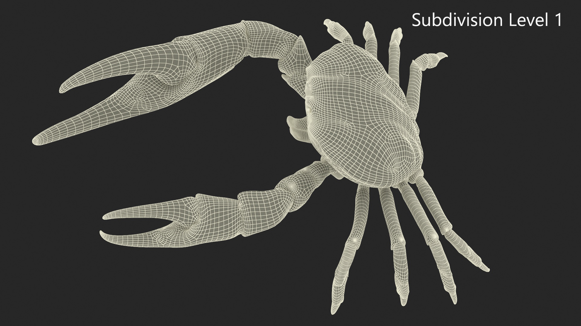 3D Deepwater Giant Crab Rigged for Maya