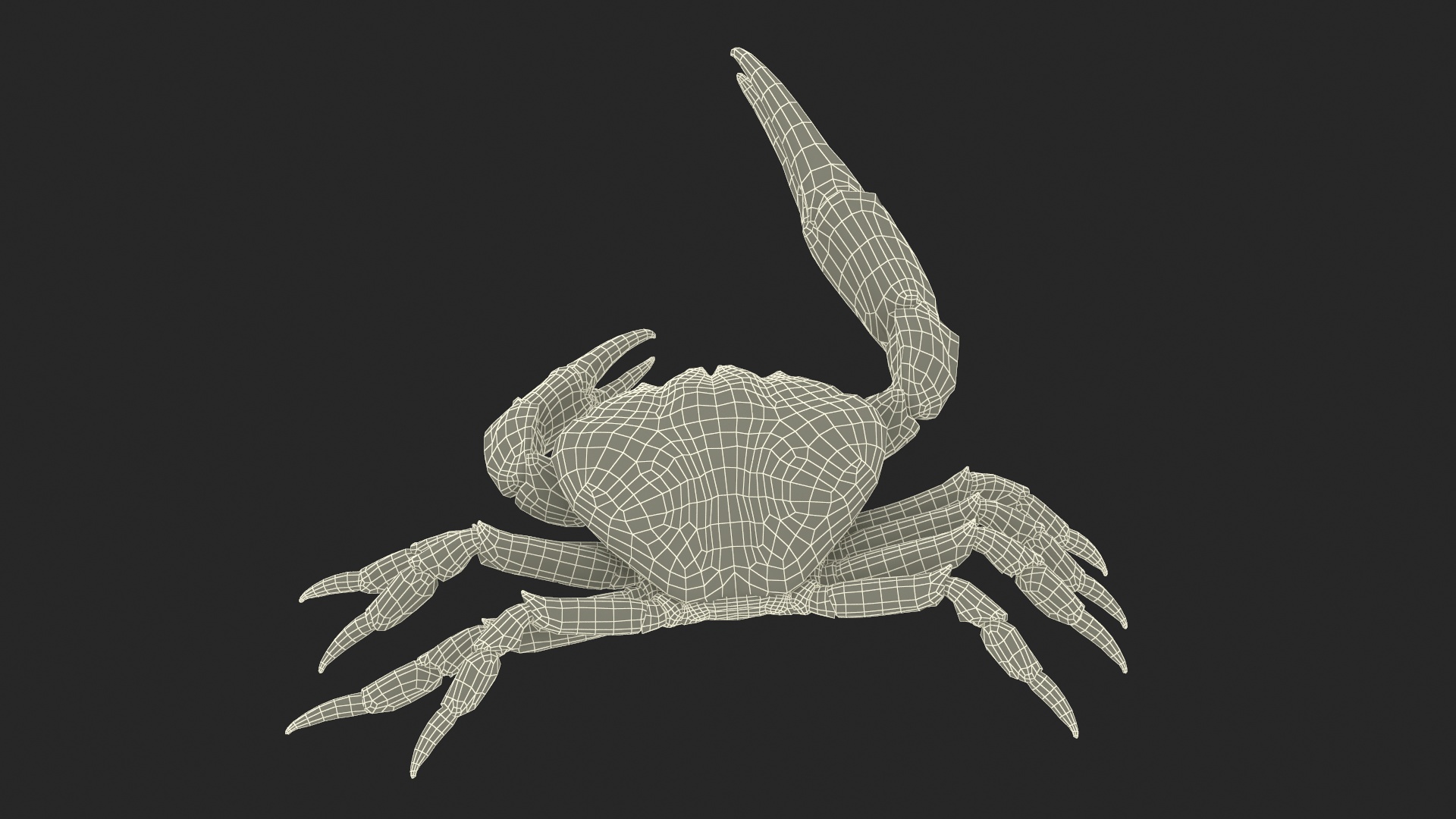 3D Deepwater Giant Crab Rigged for Maya