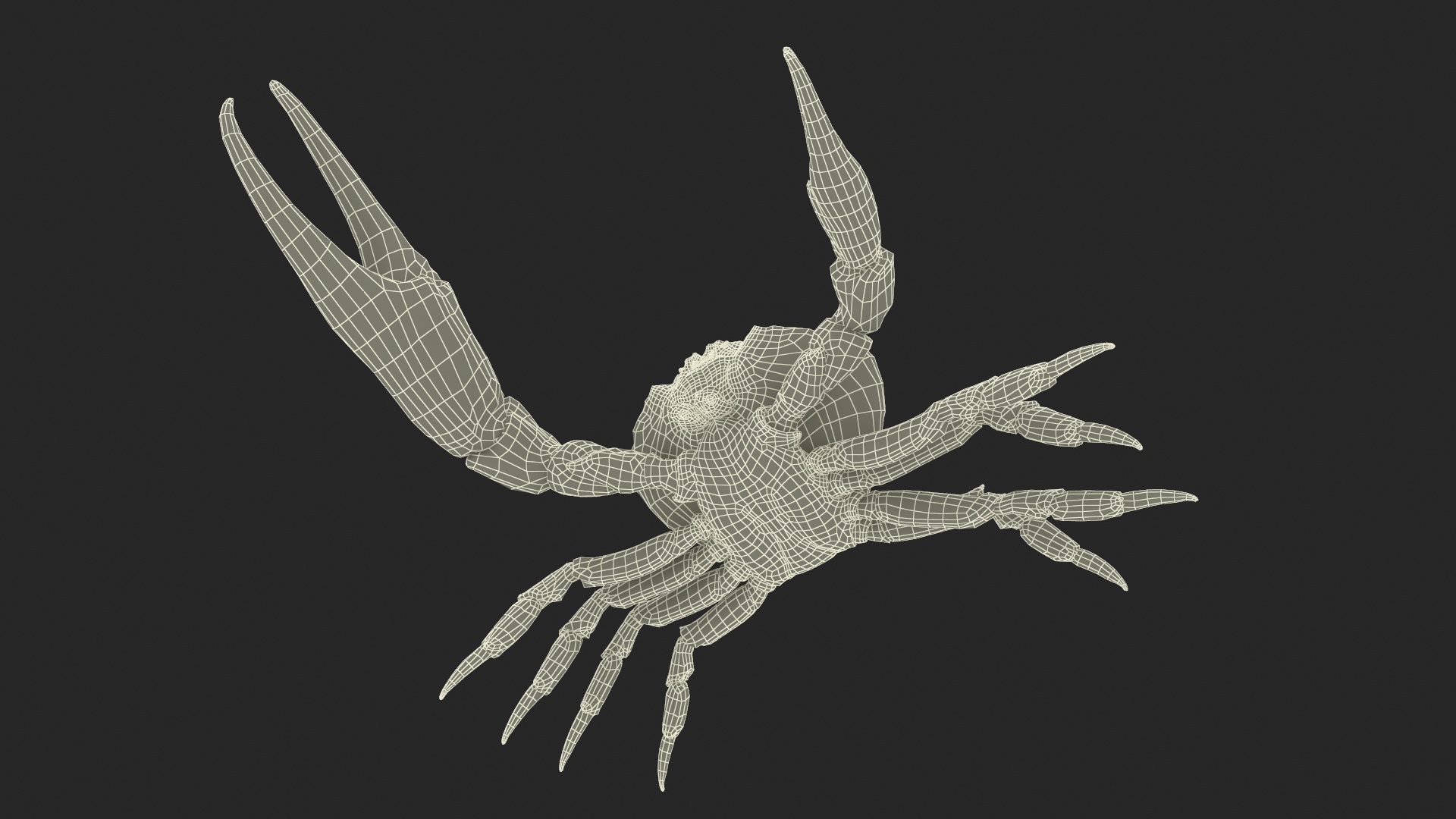 3D Deepwater Giant Crab Rigged for Maya