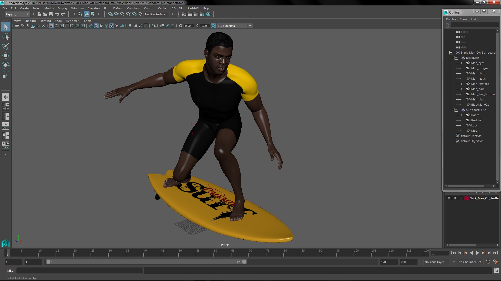 Black Man On Surfboard 3D