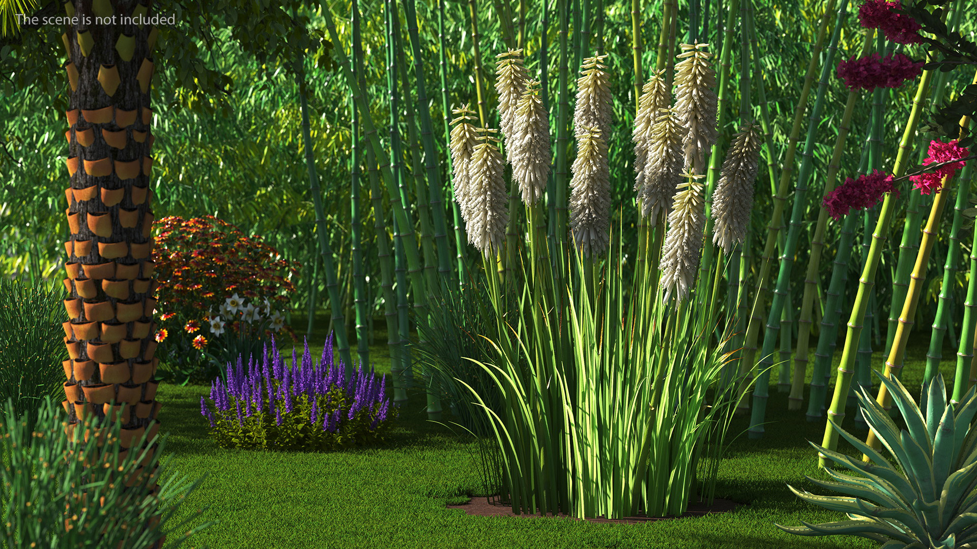 3D Kniphofia Little Maid