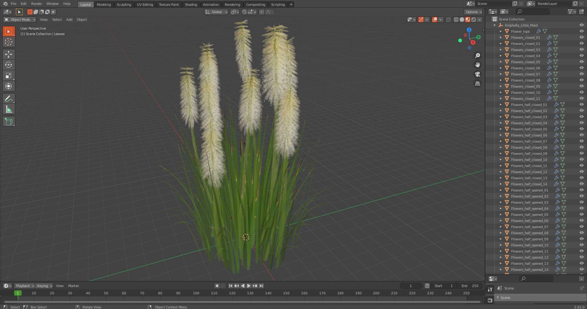 3D Kniphofia Little Maid