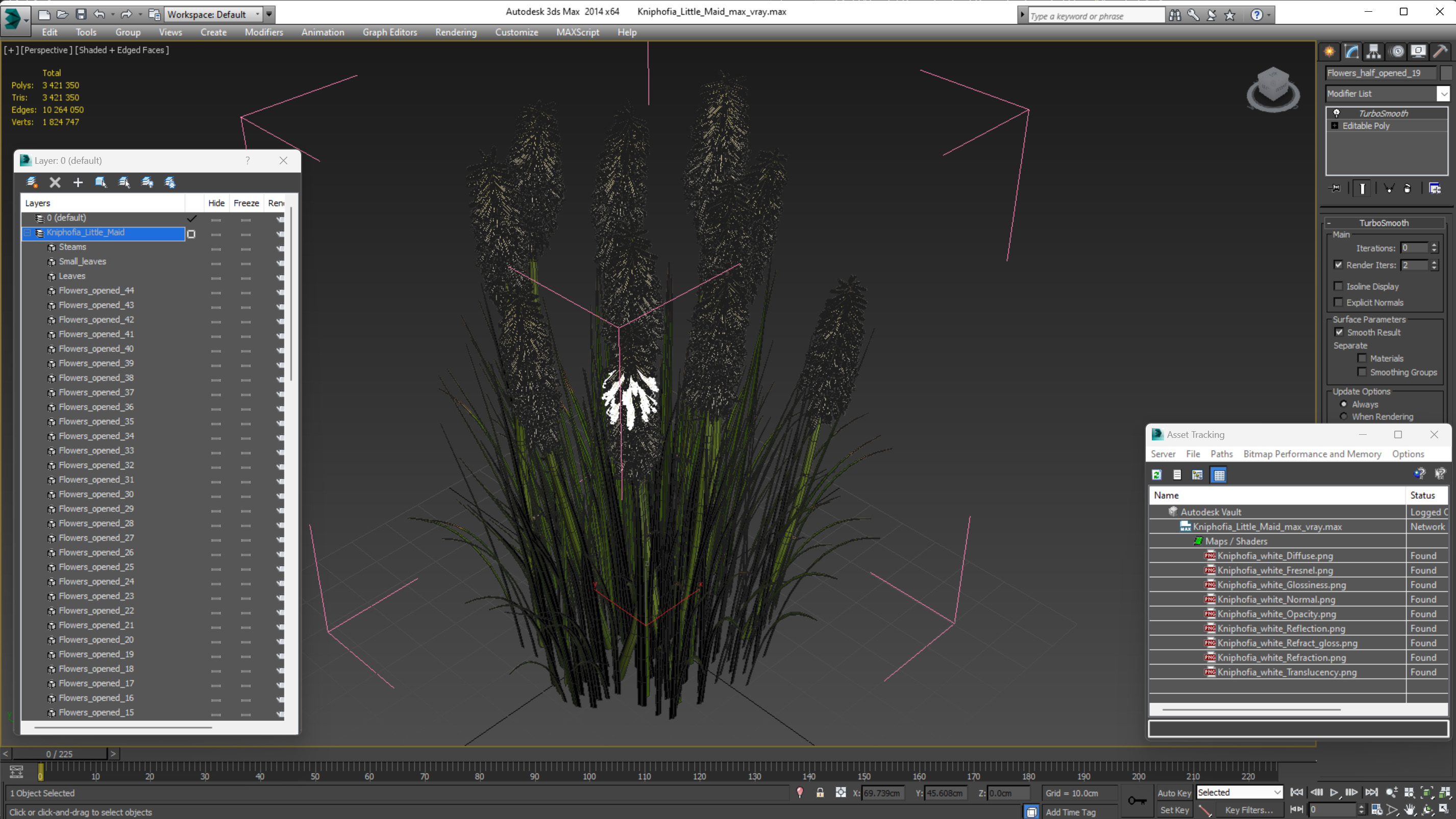 3D Kniphofia Little Maid