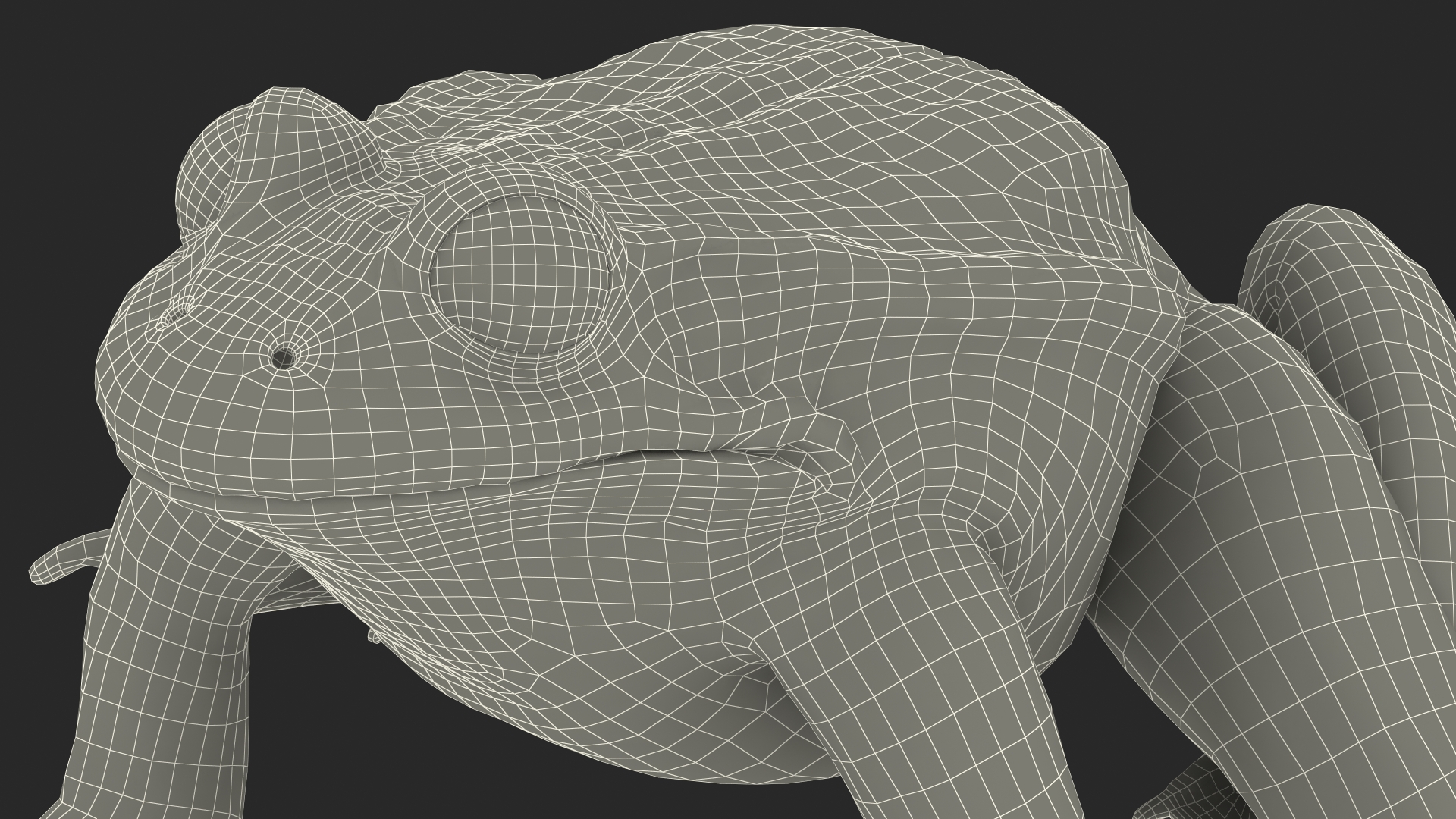 3D Frog Rigged