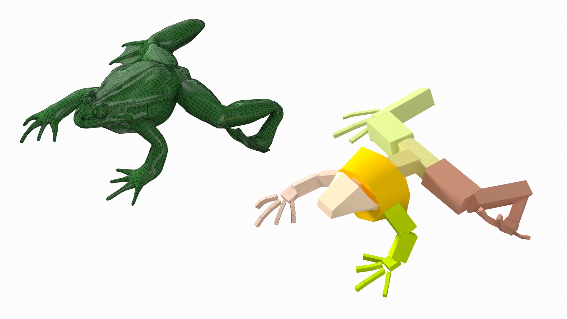 3D Frog Rigged