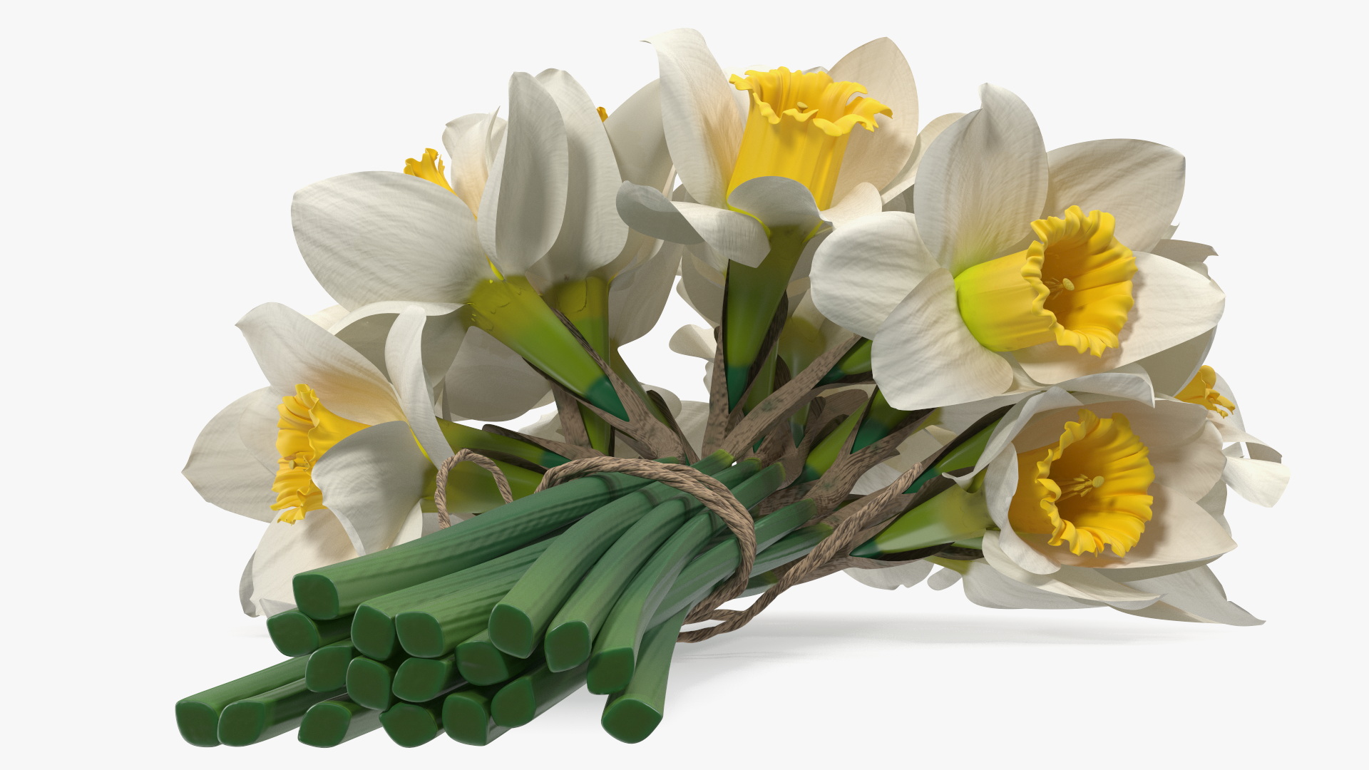 3D White Jonquil Bouquet