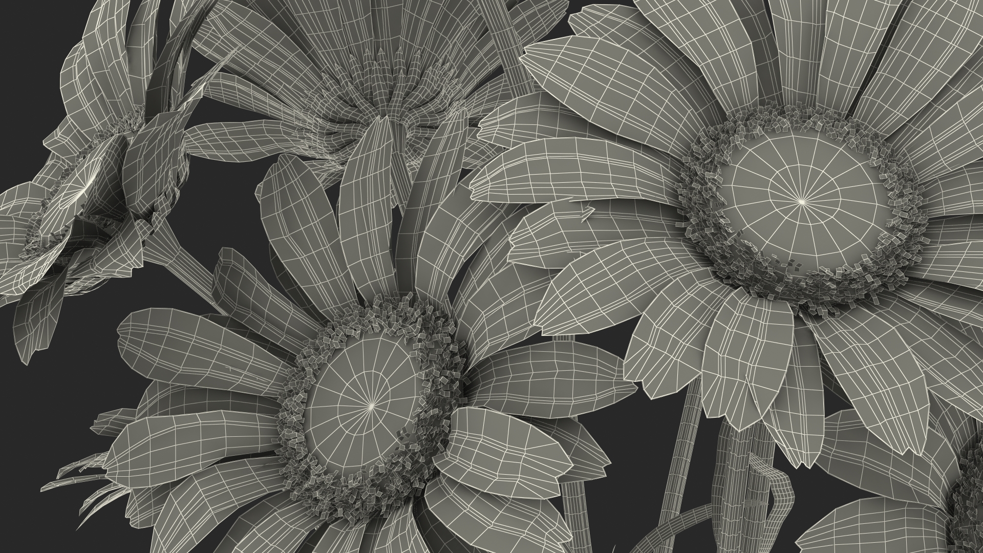 3D Bouquet of Chamomile Flowers in Vase
