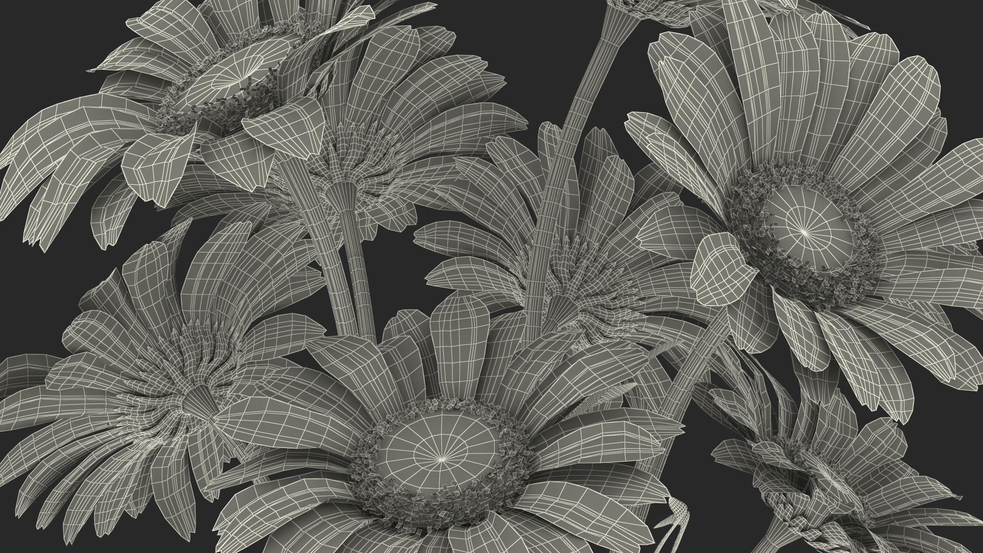 3D Bouquet of Chamomile Flowers in Vase