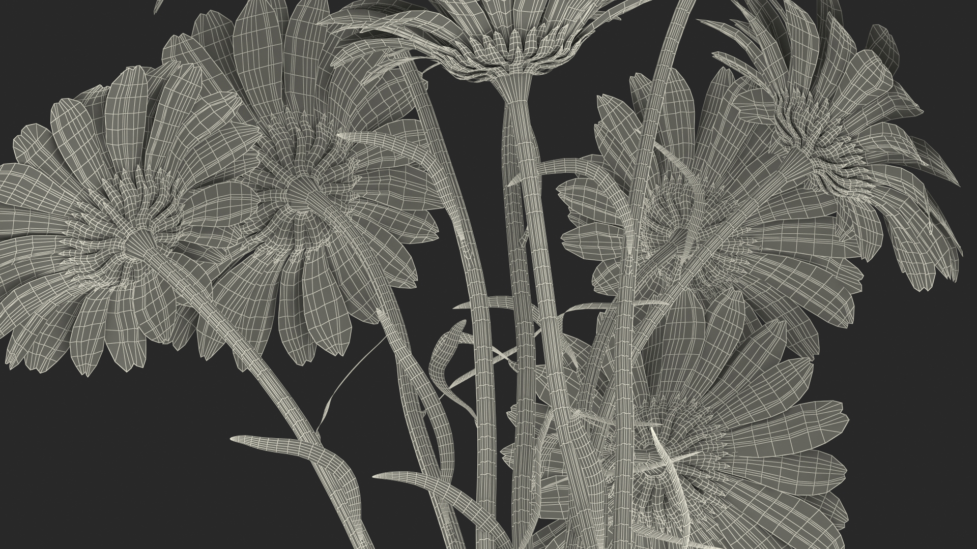 3D Bouquet of Chamomile Flowers in Vase