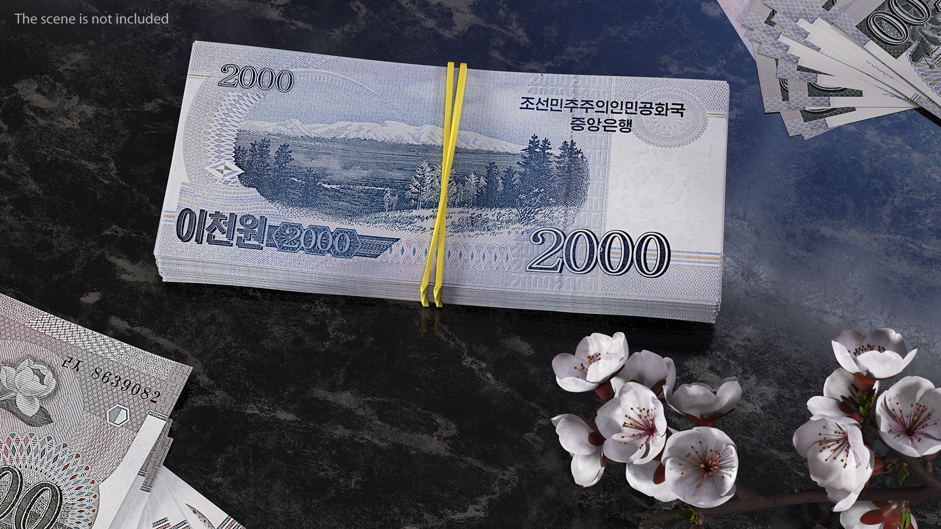 3D Rubber Band Stack of North Korea 2000 Won