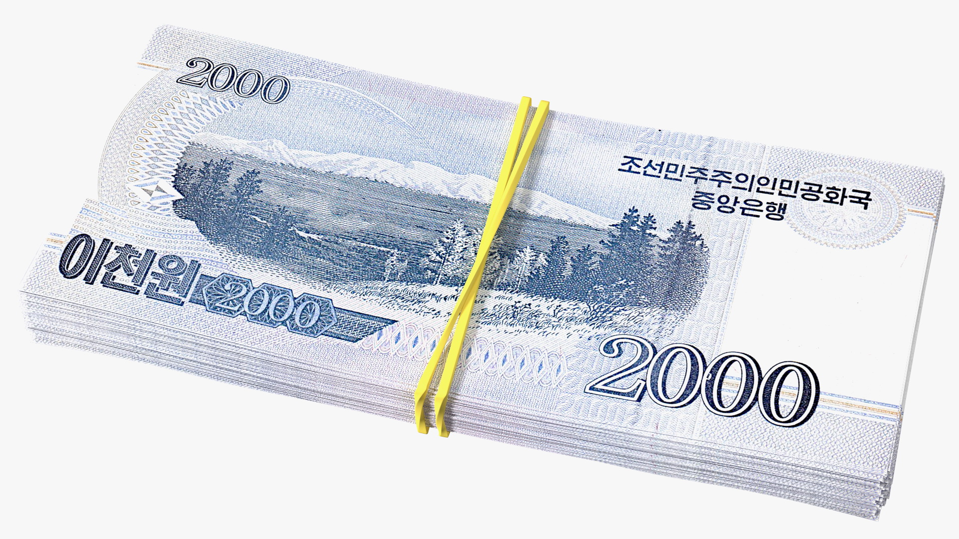 3D Rubber Band Stack of North Korea 2000 Won