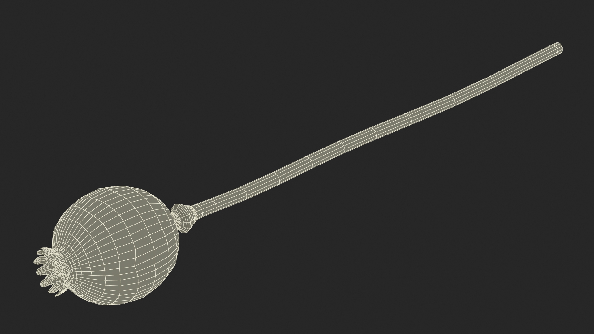 3D model Dry Poppy Seed Plant