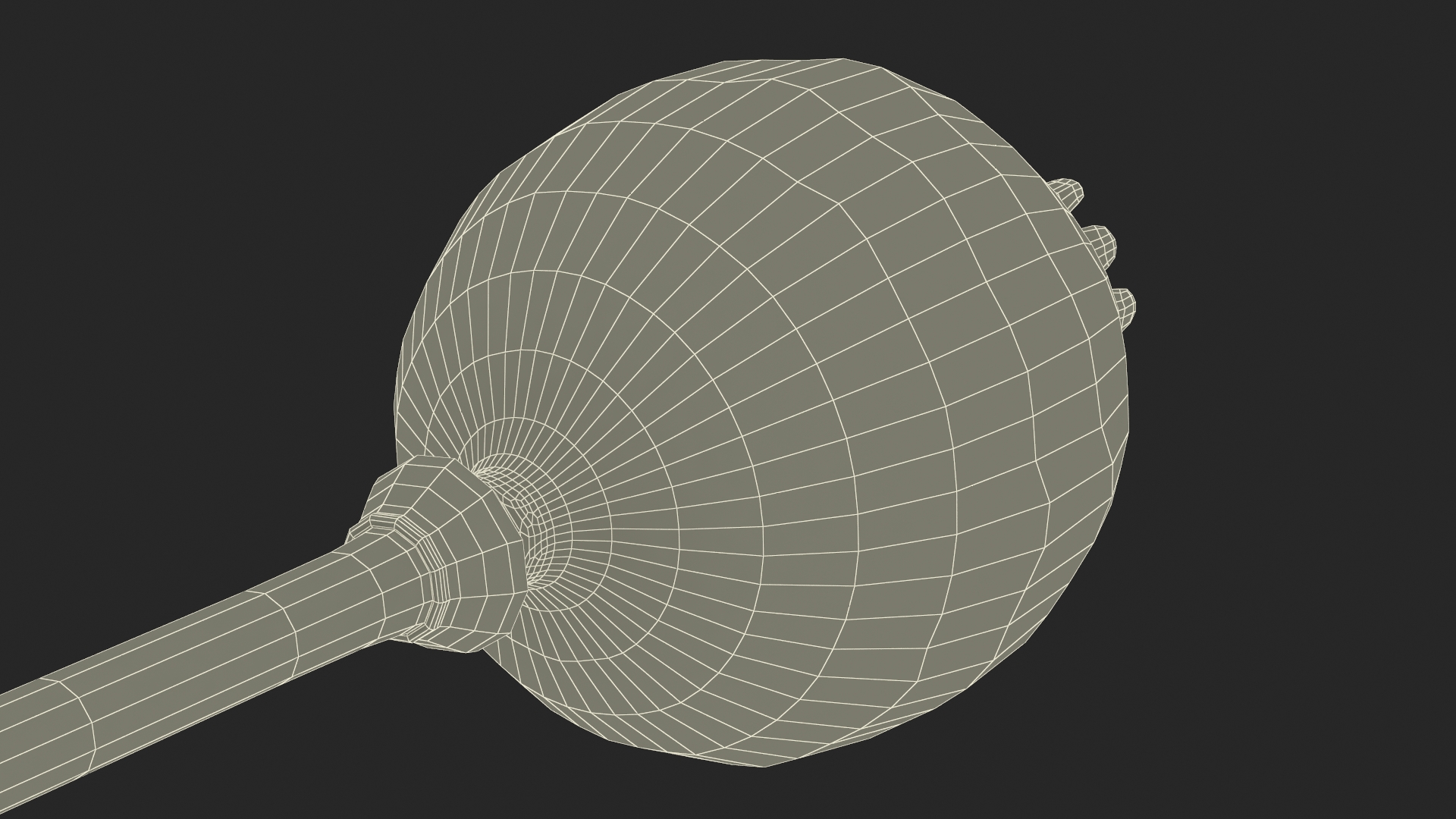 3D model Dry Poppy Seed Plant
