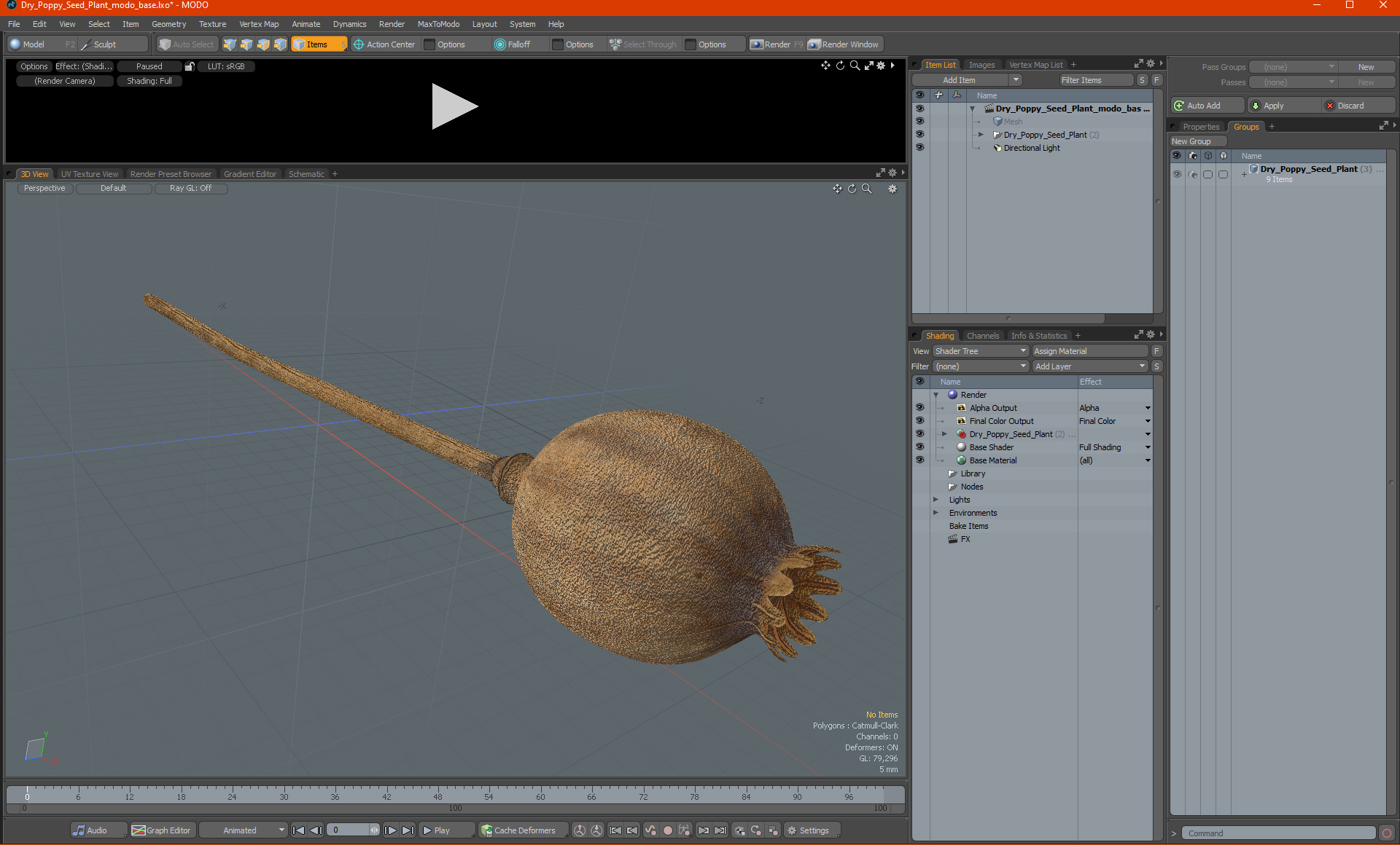 3D model Dry Poppy Seed Plant